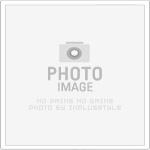 中古屋、新成屋與預售屋全攻略｜最新市場行情與買賣屋懶人包精選